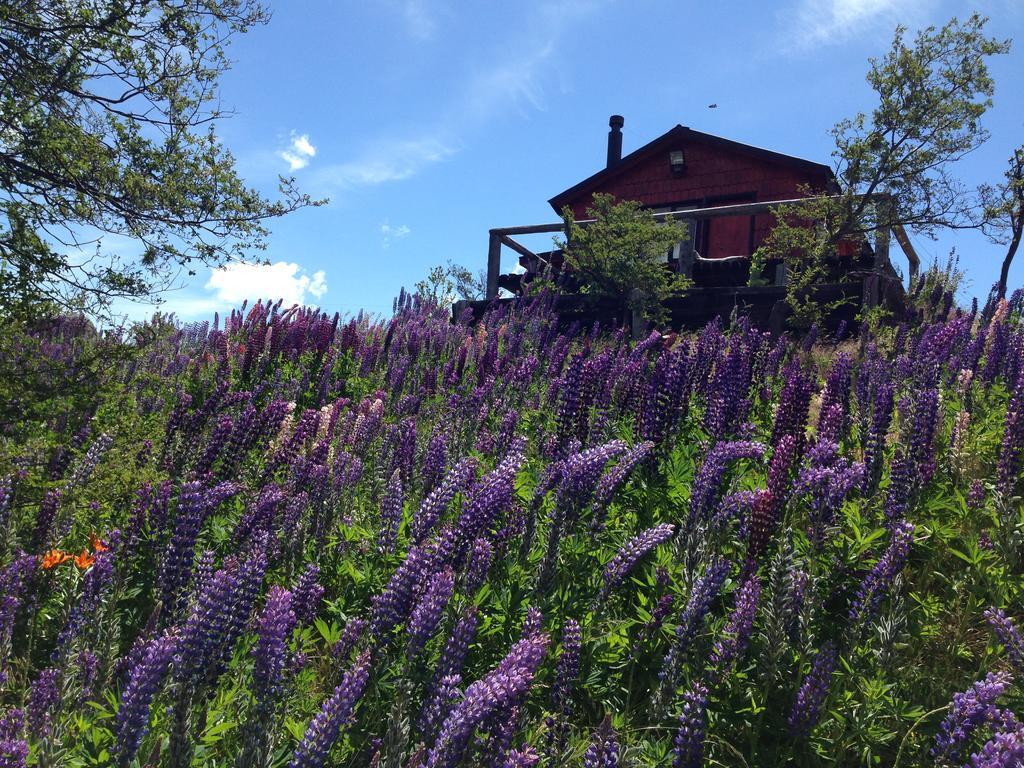 Cabanas Brellenthin Villa Cochrane Eksteriør bilde